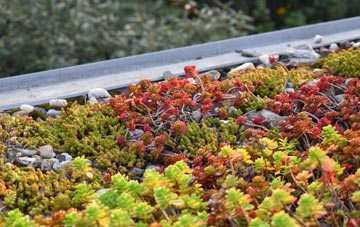 the cost of Coveney green roof installation