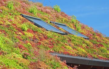 Coveney living roof systems