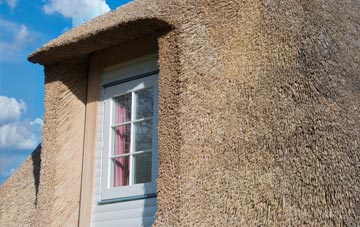 Coveney thatch roof disadvantages